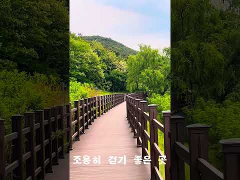[SNS직원서포터즈] 부계명 창평지