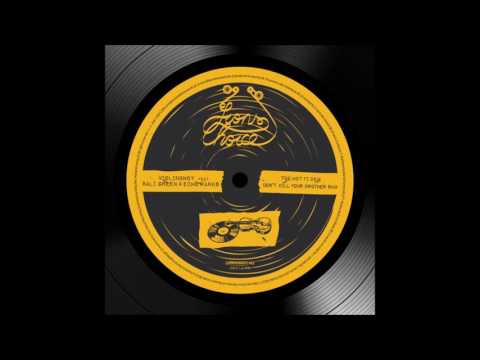 BREDRIN RECORDS FEAT ECHO RANKS/DON'T KILL YOUR BROTHER/VERSION/LION'S  DEN 12''