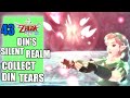 The Legend Of Zelda Skyward Sword HD Din S Silent Realm Collect All Tears Of Din Part 43