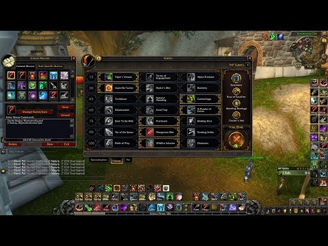 Rank 1 Survival Hunter PvP Guide BFA 8.0