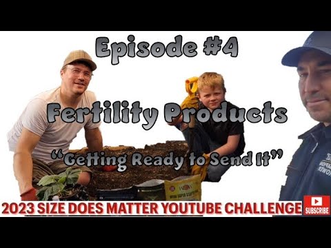 CityBoyGiants - How to grow pumpkins - Fertility Products Secured #SizeDoesMatter competition