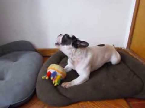 Que los cumplas MUY FELIZ ZULMA QUERIDA!!!