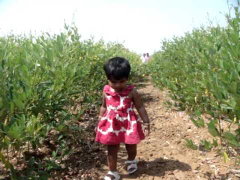 Samanvi in Farm