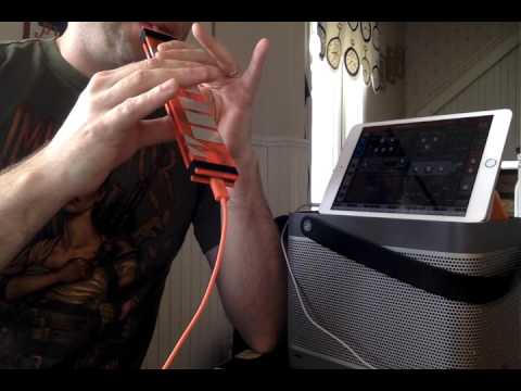 TeensieWI-insies of the dawn