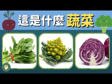 蔬菜挑戰！看圖片猜猜這些健康食材的名稱！你有辦法全對嗎🥦🍅