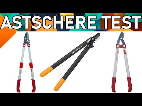 ᐅ Astschere Test 2023 | Beste Astscheren