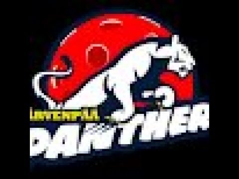 Loppuottelu Panthers Black vs Korstot 6-5