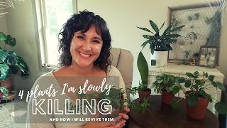 Plants I'm Slowly Killing (Reviving) 😂