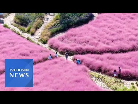 사진으로 보는 가을의 색 [아침에 한 장] [뉴스퍼레이드]