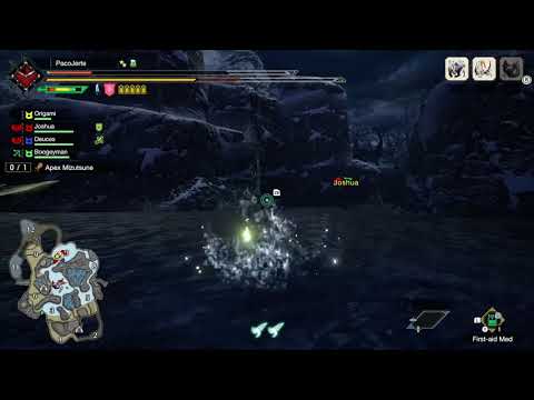 Monster Hunter Rise Gone Wrong