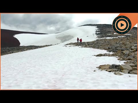 Frozen in Time: Secrets of the Ancient Hunters Emerging from Melting Ice