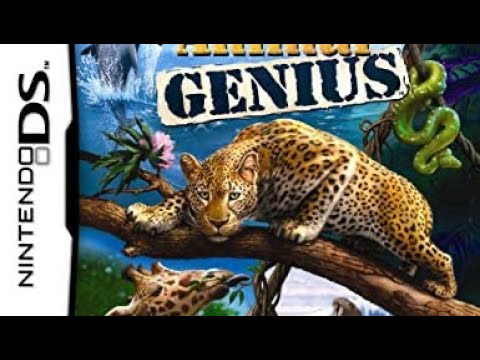 Nintendo DS: Animal Genius Playthrough (Before the Scenes)