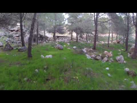 Beautiful places in Israel