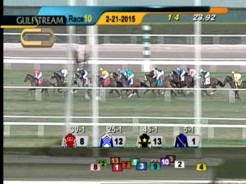 Gulfstream Park Race 10 Canadian Turf Stakes (G3) / February 21, 2015
