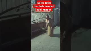 Download lagu berubah menjadi babi ngepet #viralvideo #shots  #fypviral #viralshort  #trendingshorts mp3