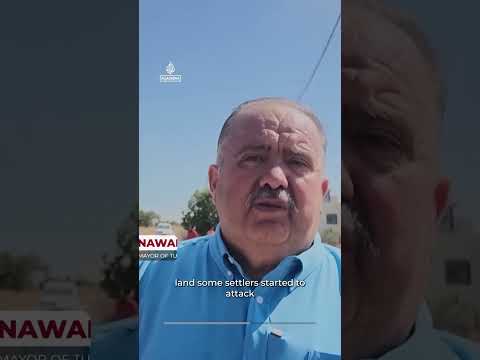 Settlers attack activists, Palestinians trying to access their land | AJ #shorts
