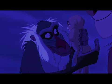 “Kung fu human” part 13 - Rafiki’s death