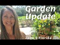 Vegetable Garden Tour Zone 9 Garden Tour Florida