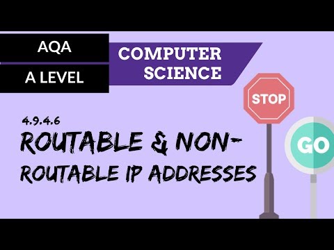 Data Types CS50 Shorts