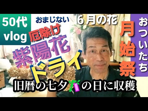 旧暦 2022 年 6 月 7 月 菜園 果樹園 髪