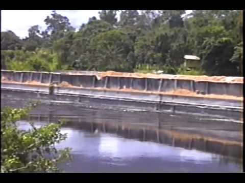 Guyana Original Folk Songs  Vol  02