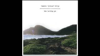 BONNIE &#39;PRINCE&#39; BILLY - Lay and Love - THE LETTING GO 2006