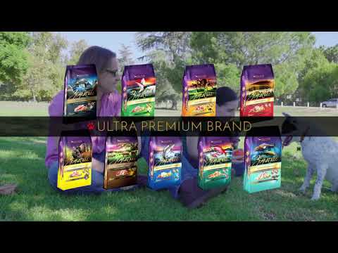 Zignature Training   Official Video 01/2021