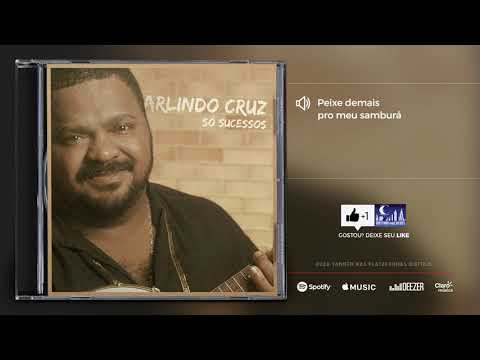 Arlindo Cruz - Peixe demais pro meu samburá