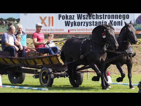 Bychawa XII pokaz Koni - konkurs  zaprzęgów konnych
