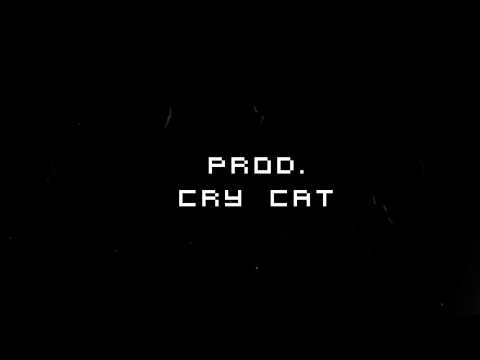 HZD - WHAT WOULD HAPPEN ( PROD. CRY CAT )