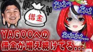 YAGOOへの借金が膨れ上がり、現実逃避し始めるハコ太郎「目を閉じて…見ないで…」【ホロライブ/ハコ太郎/ハコス・ベールズ】