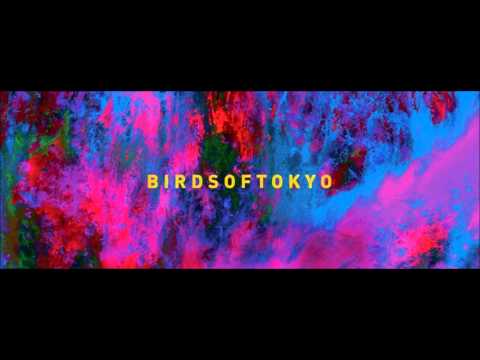 Boy - Birds of Tokyo