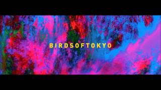 Birds Of Tokyo - Boy (album Version)