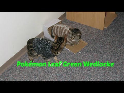 Pokémon Leaf Green Wedlocke: Part 1