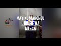 MAYIKU MAKONDU UJUMBE WA MTESA