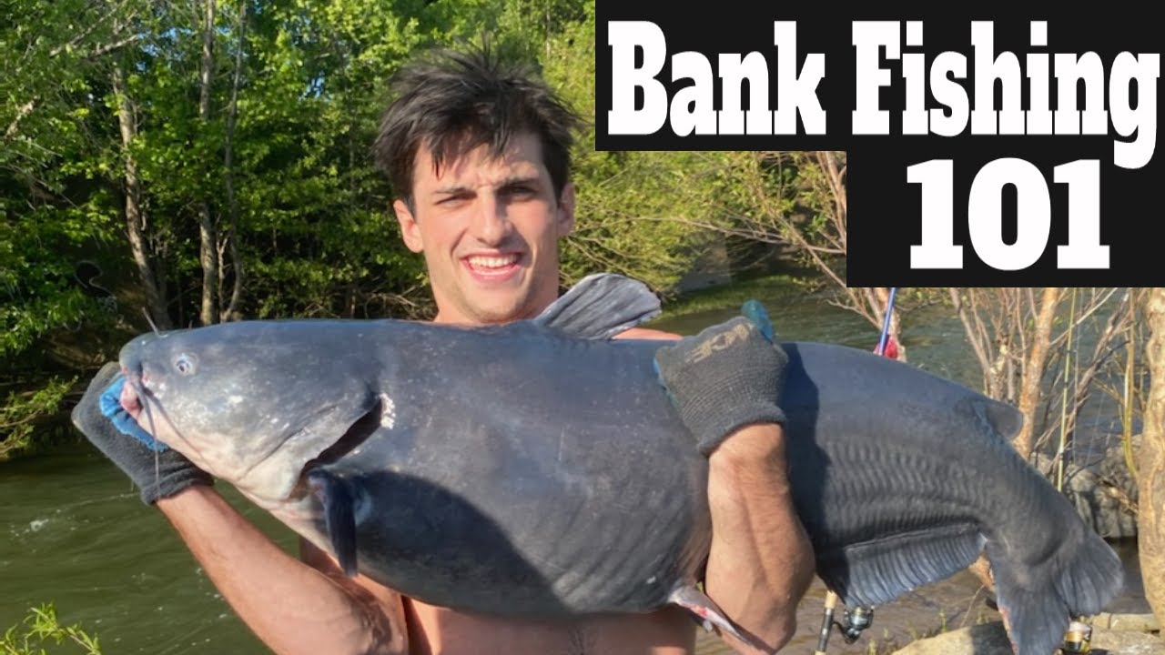Video thumbnail for How To Catch Big Catfish From The Bank: Catching Catfish In Rivers [HUGE!] | SFSC - YouTube