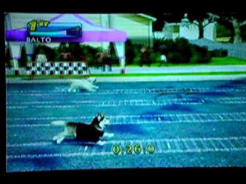Petz Sport : Chiots & Compagnie PC