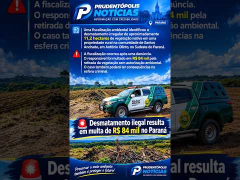 Desmatamento ilegal em 11,2 hectares de mata nativa em Antônio Olinto Sudeste do Paraná
