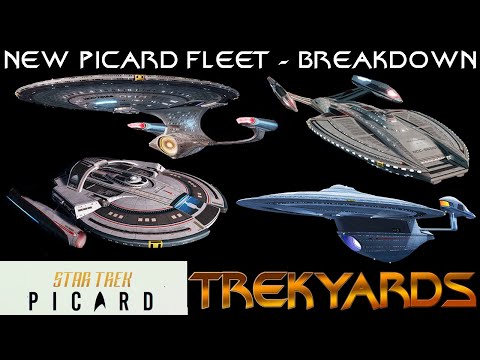 New Picard Fleet - LIVE Breakdown
