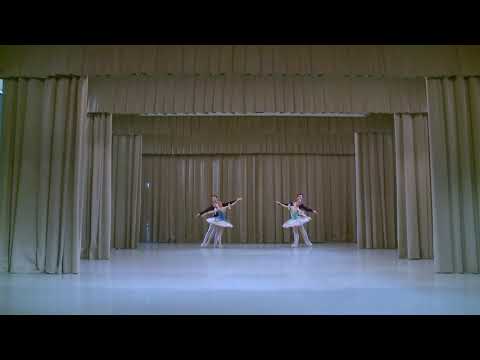 Vaganova Ballet Academy.