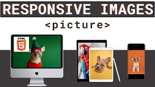 [HTML-Tutorial-15] picture element | Responsive Images (Part -2) | Web Development for Beginners