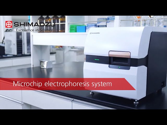 Ein kompaktes Mikrochip-Elektrophoresegerät für DNA- und RNA-Analysis.