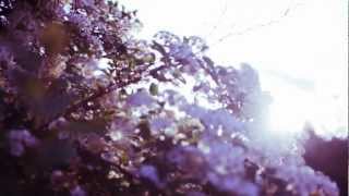 HELIOS-HALVING THE COMPASS