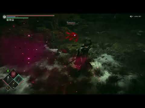 I love this build (demons souls pvp)