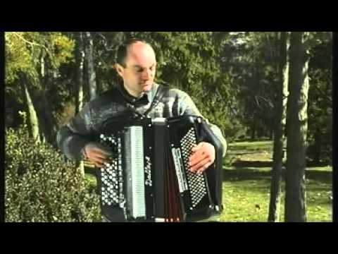 Nenad Ibrahimovic - Med