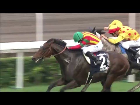 [HKIR 2015] MAURICE takes LONGINES Hong Kong Mile 2015