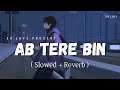 Ab Tere Bin Jee Lenge Hum Lofi Slowed Reverb Raj Barman SR Lofi