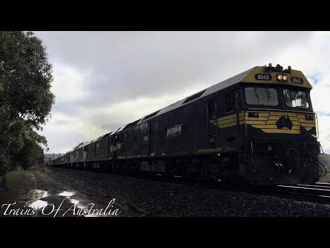 |G543, G528, G522, BL29| Grain as 9050 ex Piangil At Gisborne 24/8/20