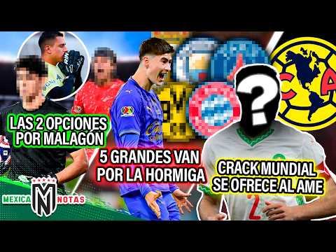 Los 2 que podrían reemplazar a Malagón| 5 grandes van por la Hormiga| Crack mundial se ofrece al Ame