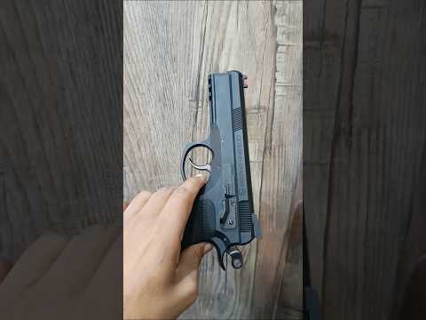 CZ Shadow 2 VS CZ 75 SP-01 - TheFirearmGuy